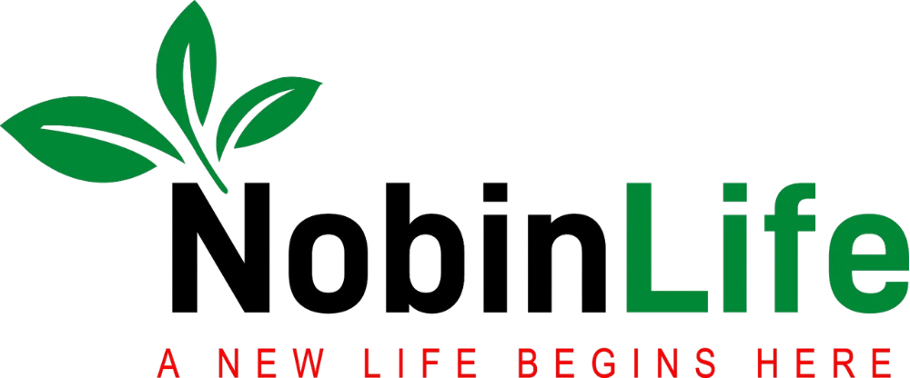 nobinlife logo